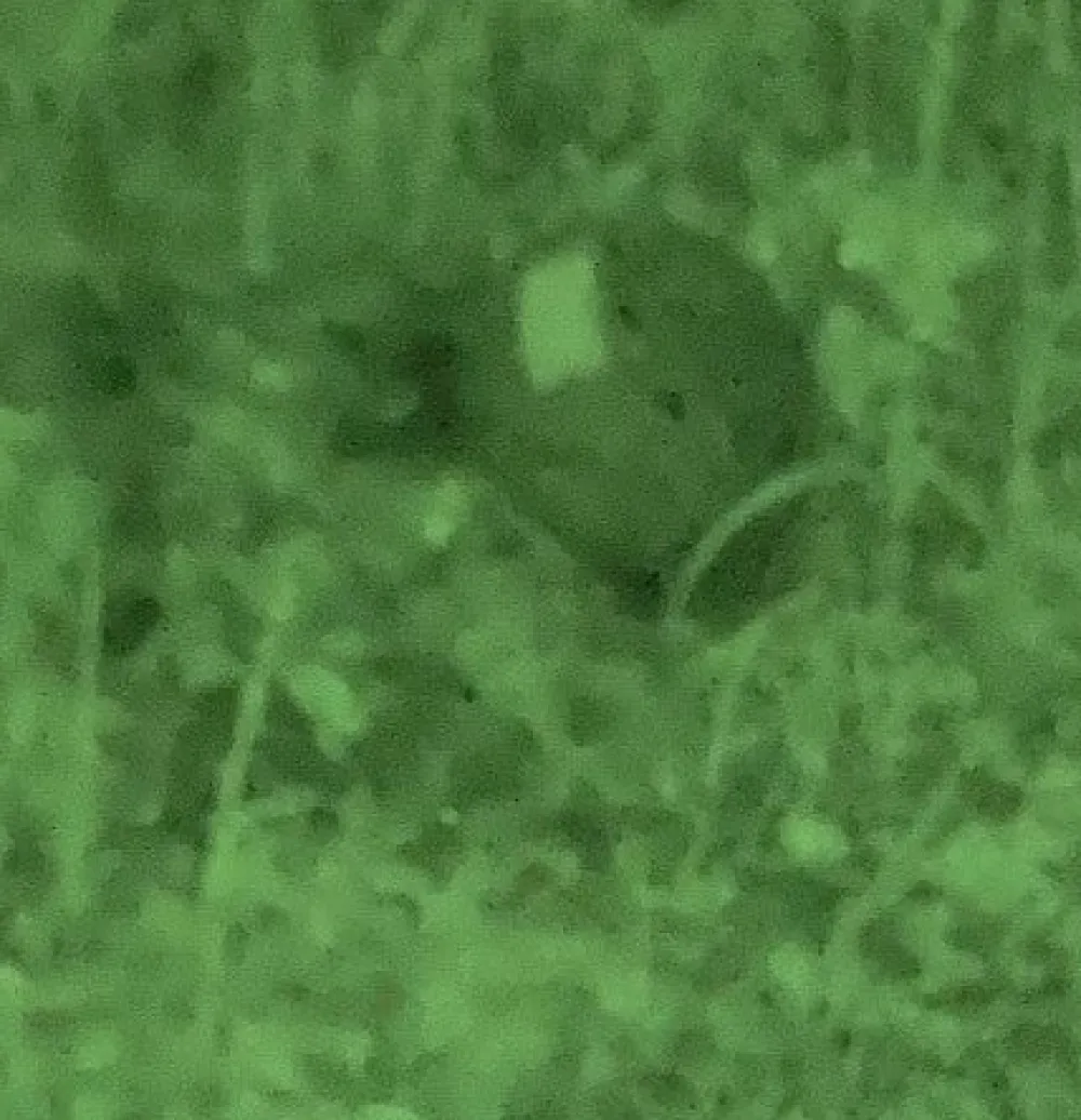 Maston Diy Ja Huolto ^ Camouflage spraymaali 400ml