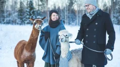 Varusteleka Päähineet ^ alpakkapipo