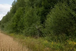 Särmä TST L7 Camouflage Layer|Naamiointi ^ Varusteleka L7 naamioviitta